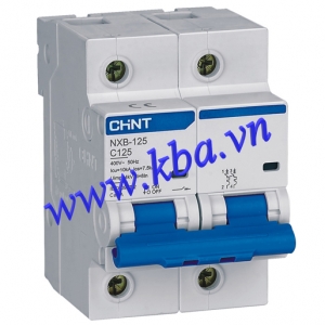 aptomat tep mcb chint 2p 100a 10ka nxb 125 2p 100a