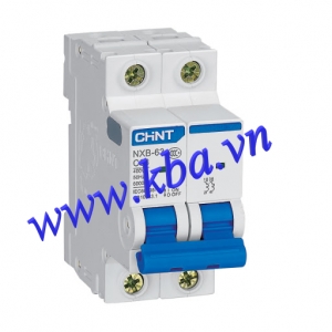 aptomat tep mcb chint 2p 10a 6ka nxb 63 2p 10a